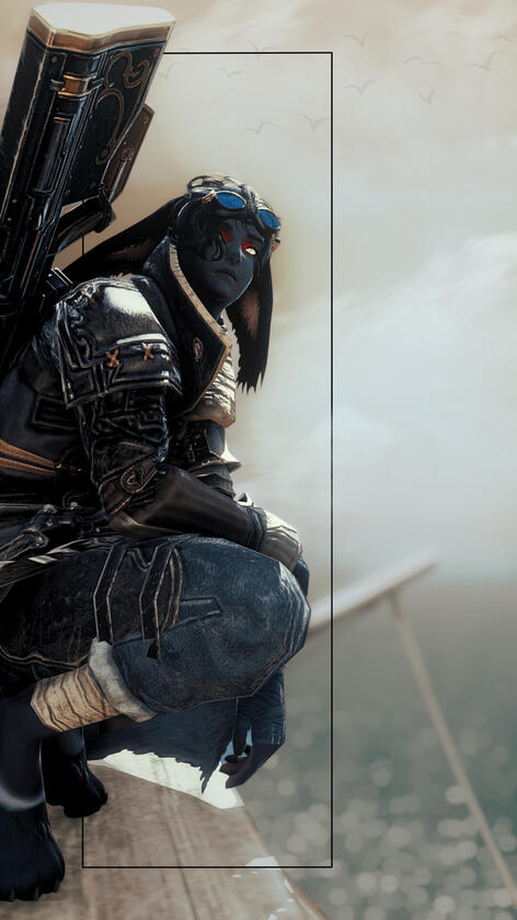 the last witness before